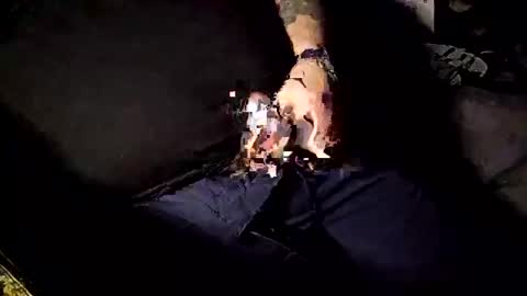 Snapshot of steelman8484 chatting on December 31, 5:29 pm steelman8484 online show from December 31, 5:29 pm