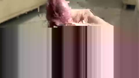 Tips are VERY much appreciated online show from February 10, 6:56 pm