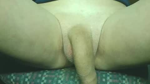 steri8888 online show from March 24, 4:50 am