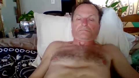 steviehard7 online show from February 1, 4:54 pm