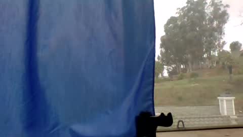 steviehard7 online show from March 11, 4:51 pm