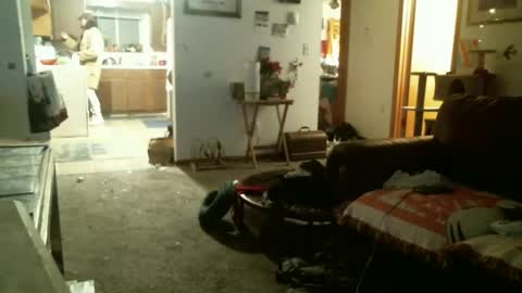 stickey online show from December 14, 11:45 pm