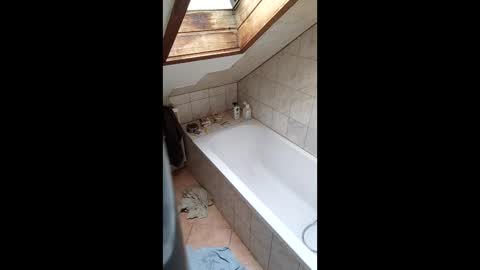 stiffler83pl online show from March 16, 12:53 pm