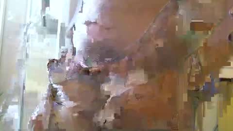 straightstroker81 online show from December 11, 6:59 am