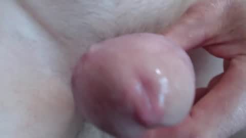Peter Hitachi online show from July 29, 5:56 pm