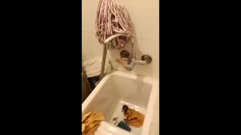 suso9092 online show from March 24, 12:05 am