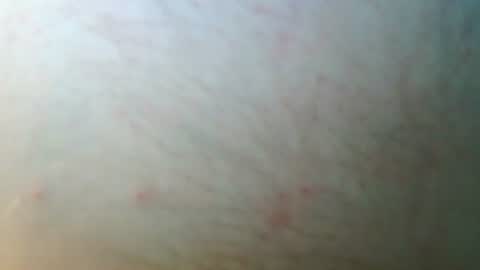 Snapshot of syrius57920 chatting on October 20, 4:33 pm syrius57920 online show from October 20, 4:33 pm