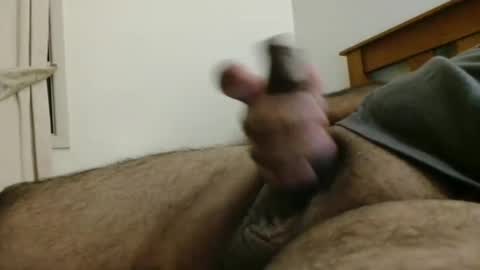 tajkeets online show from December 11, 10:26 am