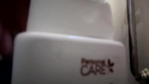 Trevorling online show from November 3, 1:35 pm