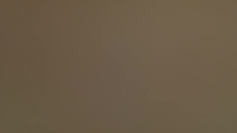 taylr83 online show from November 2, 7:07 pm