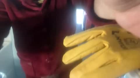 Theodore online show from September 21, 7:08 am