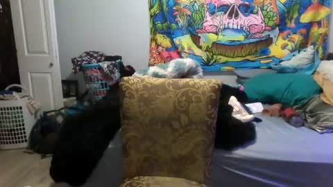tehkie online show from June 25, 5:12 am