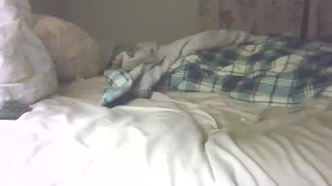 texasscooter1962 online show from January 21, 2:00 am