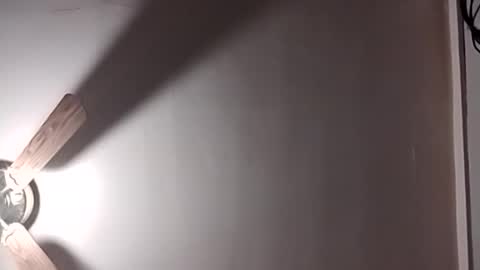 thedailyshower online show from August 4, 4:40 am