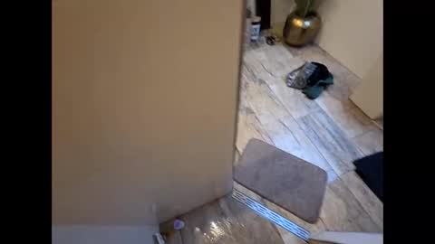 Theryeofthetiger online show from October 25, 6:26 am