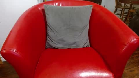 thekodyy online show from January 9, 1:56 pm