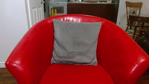 thekodyy online show from January 8, 3:51 am