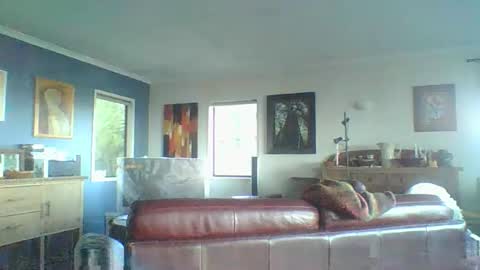 Thickcockat71 online show from October 5, 6:56 pm