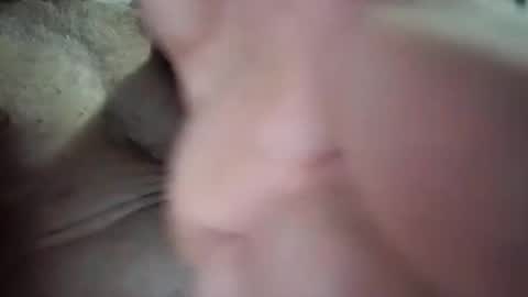 tlcdad online show from January 13, 3:01 am