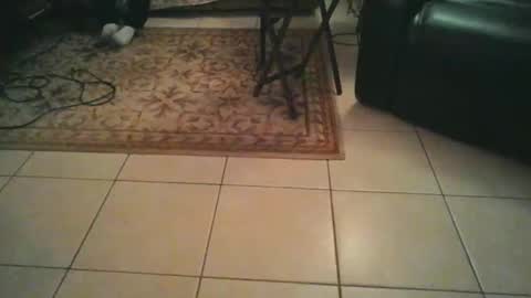 sirmuggsalot online show from March 20, 7:01 am