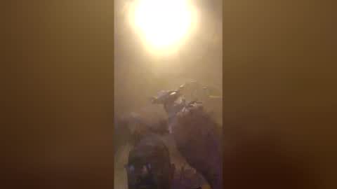 tomcop11111 online show from March 30, 11:28 pm