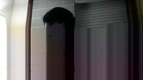 toni640128 online show from April 8, 12:33 am