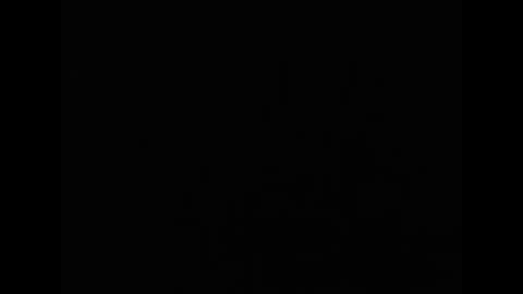 tony online show from March 2, 7:43 pm