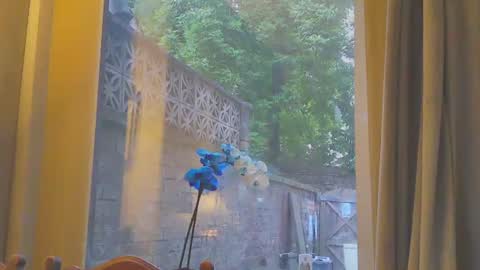toohorny3210 online show from June 16, 8:11 pm