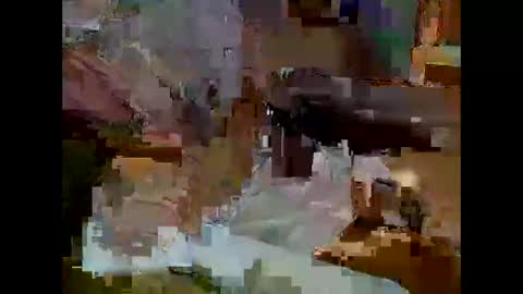 tophatmagician2020 online show from December 18, 10:22 am