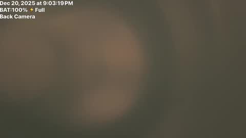 Fembttom online show from December 21, 3:03 am