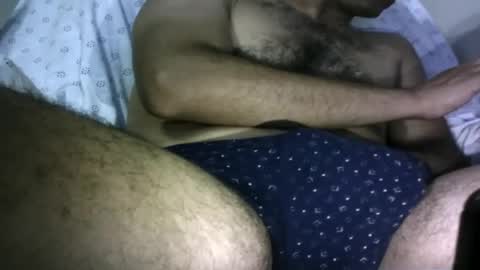 Turkish Dancing Bear online show from June 19, 8:35 pm