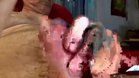 Snapshot of trebgeis1 chatting on February 11, 9:46 pm trebgeis1 online show from February 11, 9:46 pm