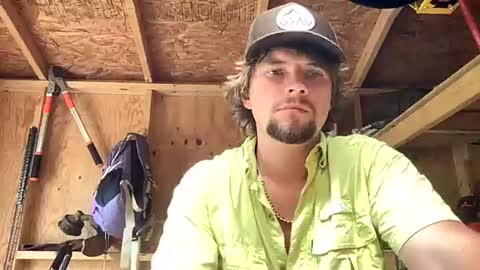 treeman817 online show from August 2, 7:01 pm