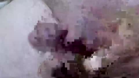 troy1965 online show from April 7, 5:29 am