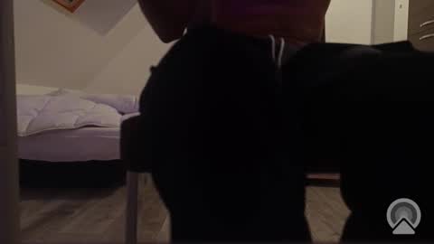 txeoutlaw online show from October 14, 5:53 pm