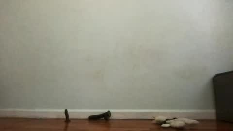 deaf mute boy online show from June 16, 9:17 pm