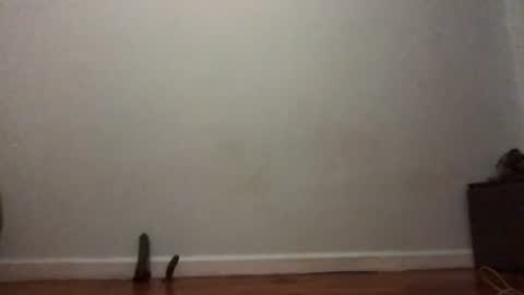 deaf mute boy online show from July 19, 1:55 am
