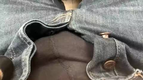 usabound online show from October 20, 11:08 pm