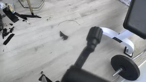 BamBam online show from October 7, 6:39 am