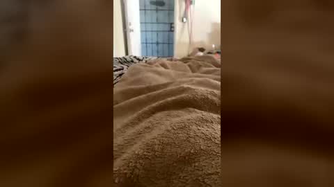 useranon334457 online show from July 20, 3:36 pm