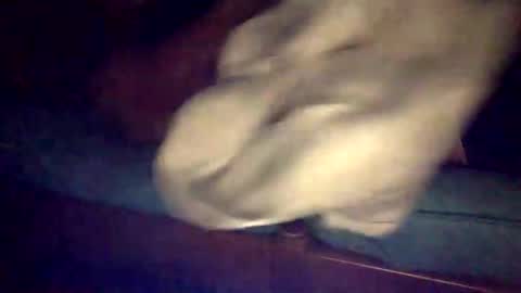 vaughngigity online show from December 22, 10:45 am