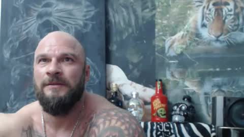 viking online show from April 21, 6:47 pm