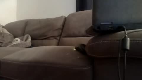 Wakarimashita01 online show from November 23, 5:18 am