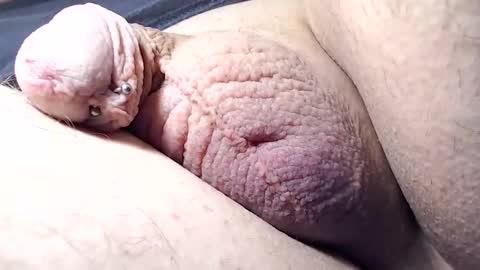 wants online show from January 21, 12:36 am