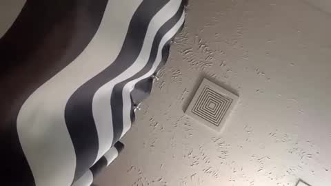 wanttowatch87 online show from December 25, 5:58 am