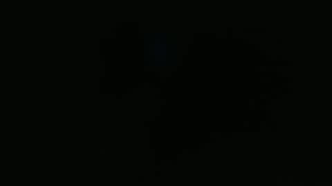 wapos__25 online show from November 25, 1:40 am