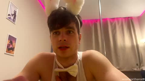 waynenorth online show from April 5, 2:35 pm