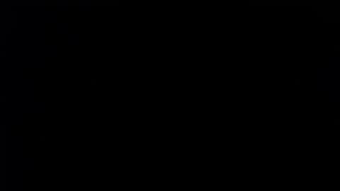 wellingtont online show from December 4, 7:04 am