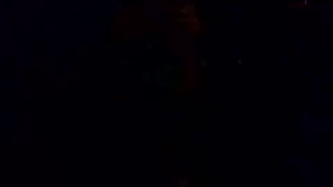 Breedee Boy online show from January 23, 11:15 am