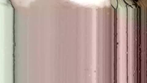 whispereddy online show from March 9, 11:04 am